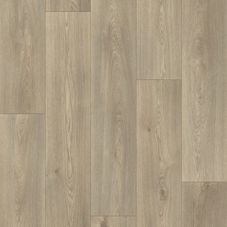 Columbian Oak 629L