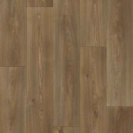 Columbian Oak 649M