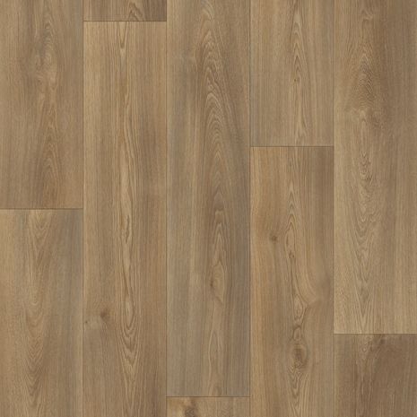 Columbian Oak 692M